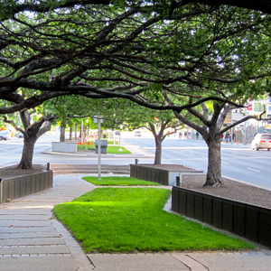 University Avenue